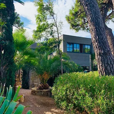 Maranatha, Front De Avec Porto-Vecchio (Corsica)