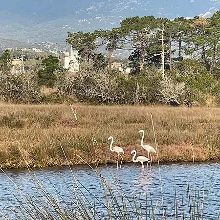 Maranatha, Front De Avec Lejlighedshotel