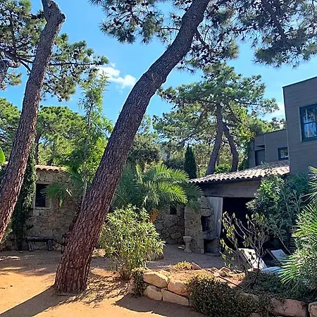 Maranatha, Front De Avec Porto-Vecchio (Corsica)