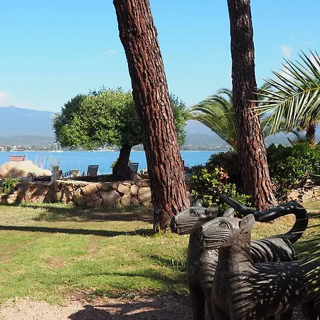 Maranatha, Front De Avec