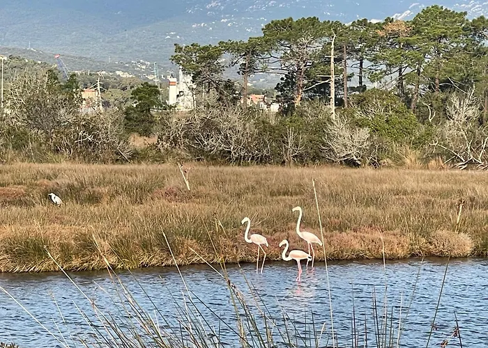 Maranatha, Front De Avec מלון דירות