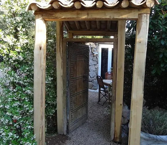 Maranatha, Front De Avec פורטו-וישיו